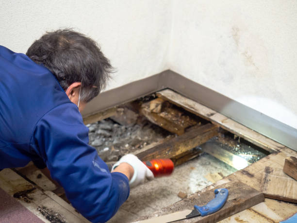 Best Bathroom Mold Remediation in Port Washington North, NY