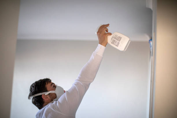 Best Attic Mold Remediation in Port Washington North, NY
